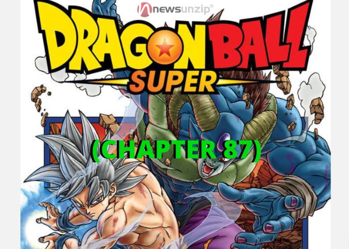 CHAPTER 87