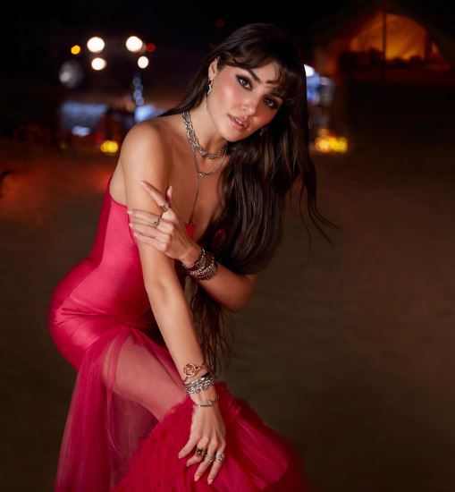 Hande Ercel wiki