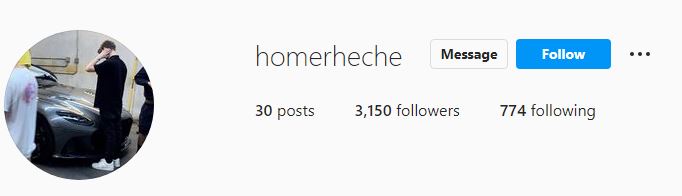 Homer's IG profile
