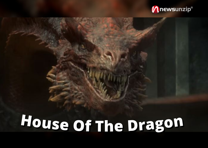 House Of The Dragon