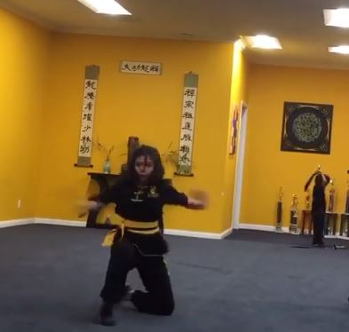 Riley Lai Nelet learned Kung Fu
