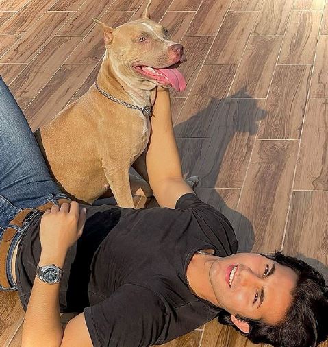 Shahroz Sabzwari is an animal lover