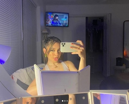 Sophie Michelle Net Worth & Income Source