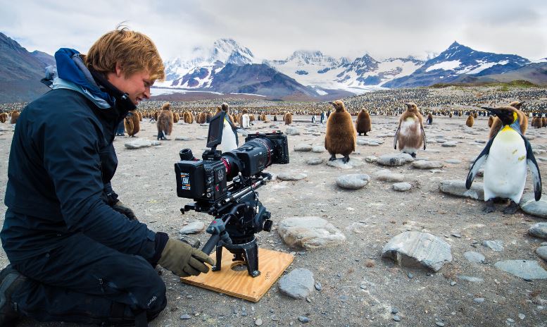 Bertie is a wildlife filmmaker