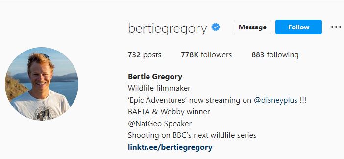 Bertie's Instagram account