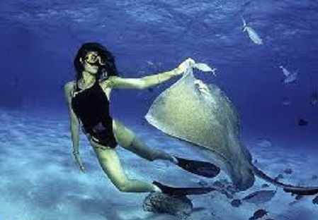Career- Free Diver (Final Dive Video, Book)