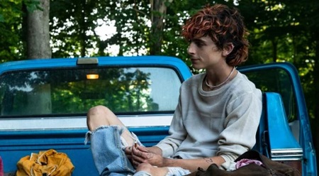 Download free Bones and All movie