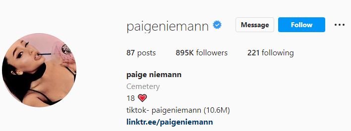 Paige's Instagram profile