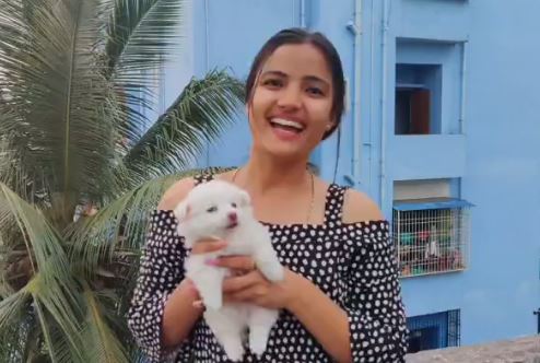 Siri Hanmanth likes animals
