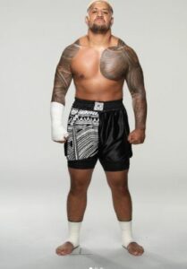 Solo Sikoa: Biography, Wiki, Height, Weight, Age, Wife, Parents