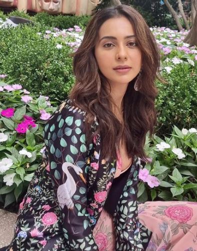 The female main character is acted by Rakul Preet Singh