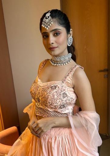 Actress Vaishali Takkar committed suicide at her home in Indore