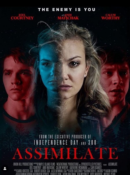 Andi Matichak career