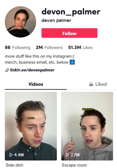 Devon Palmer TikTok handle