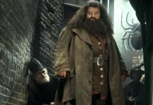 Robbie Coltrane is famous for playing the role of Rubeus Hagrid in Harry Potter