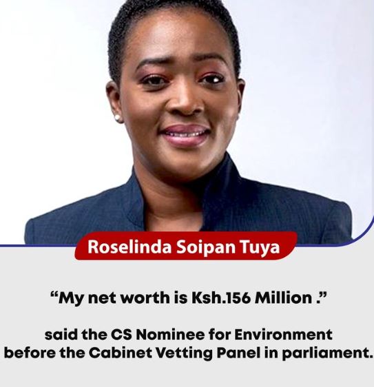 Soipan Tuya net worth