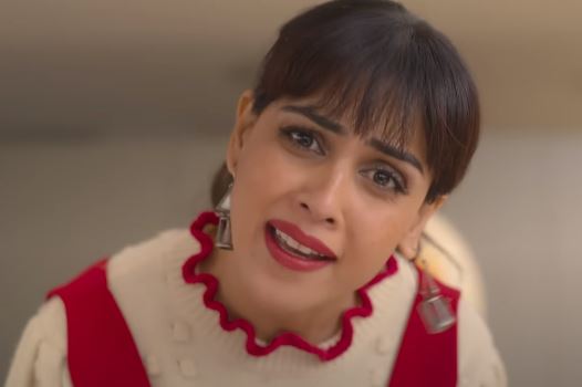Actress Genelia D'Souza played the lead role