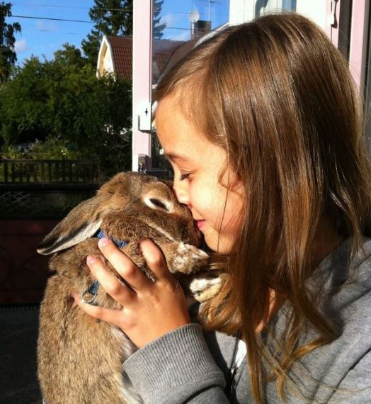 Frida Argento loves animals