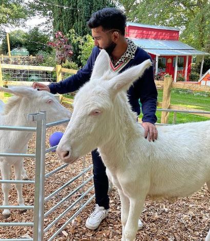 Orhan Awatramani likes animals