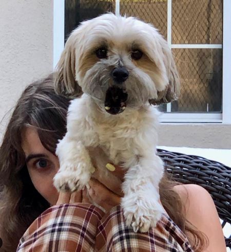Sarah Carpenter and her pet dog