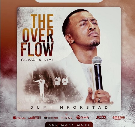Dumi Mkokstad career singer