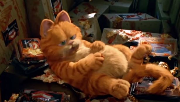 Garfield is an animated film