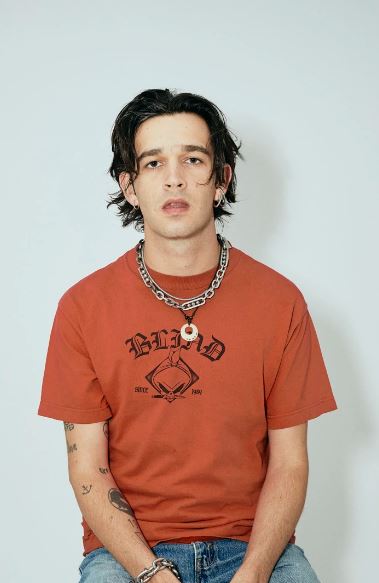 Matthew Healy bio