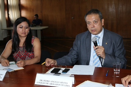 Pedro Angulo Arana wiki