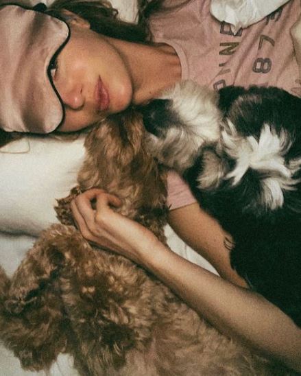 Rebecca Dalton has pet dogs
