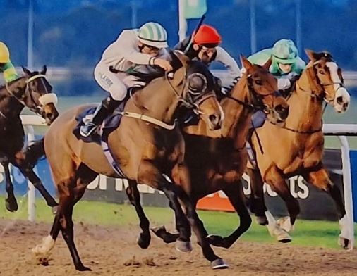 Billy Loughnane won several races
