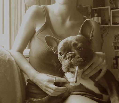 Giordana Marengo pet dog Stella