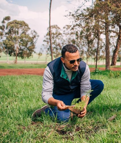 Mamo Mihretu likes planting