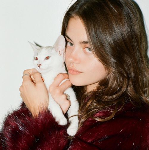 Rachael is a cat lover