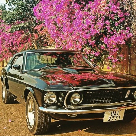 Ramesh Thamilmani car