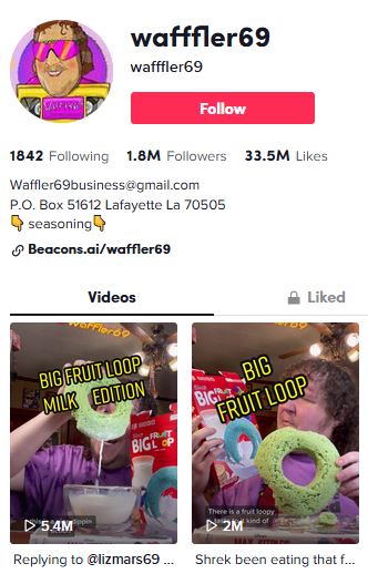 Waffler69 TikTok handle