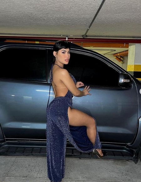 Ana Del Castillo net worth