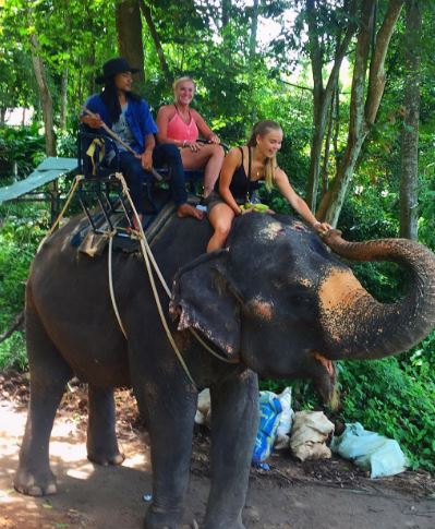 Sofie loves jungle safari