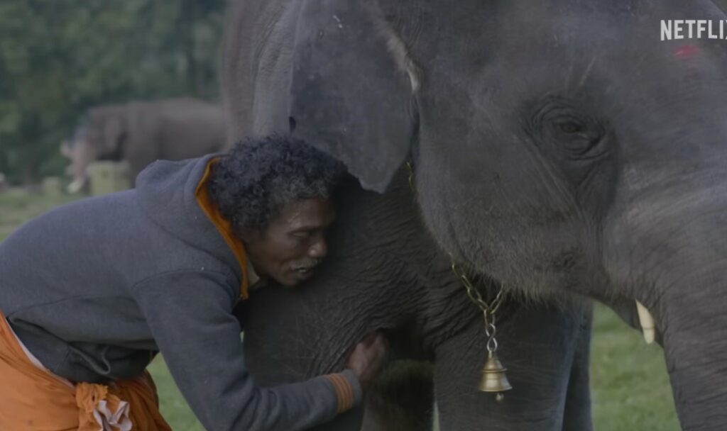 The Elephant Whisperers Movie Oscars 2023