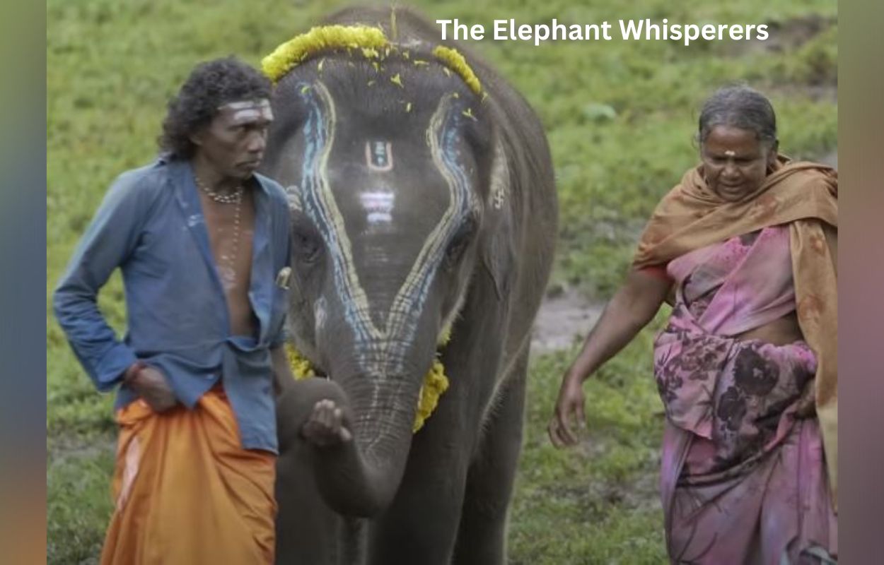 The Elephant Whisperers