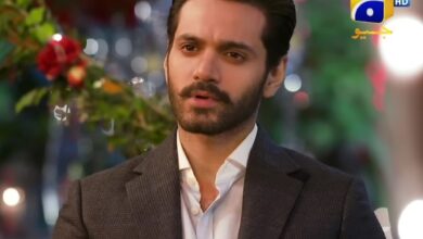 Tere Bin Last Episode Release Date and Time What to Expect from the Hit Pakistani Drama