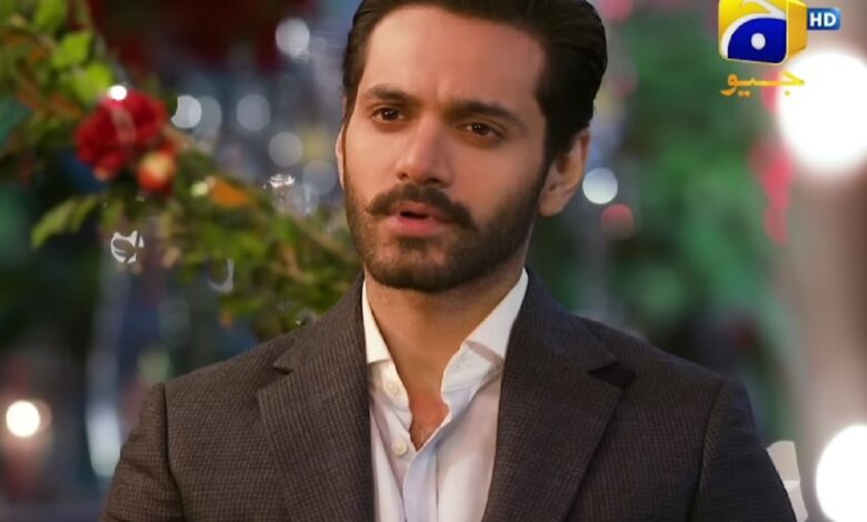 Tere Bin Last Episode Release Date and Time What to Expect from the Hit Pakistani Drama