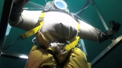 Watch MythBusters Pig in Diving Suit Video, What Happened to the Pig in the Diving Suit