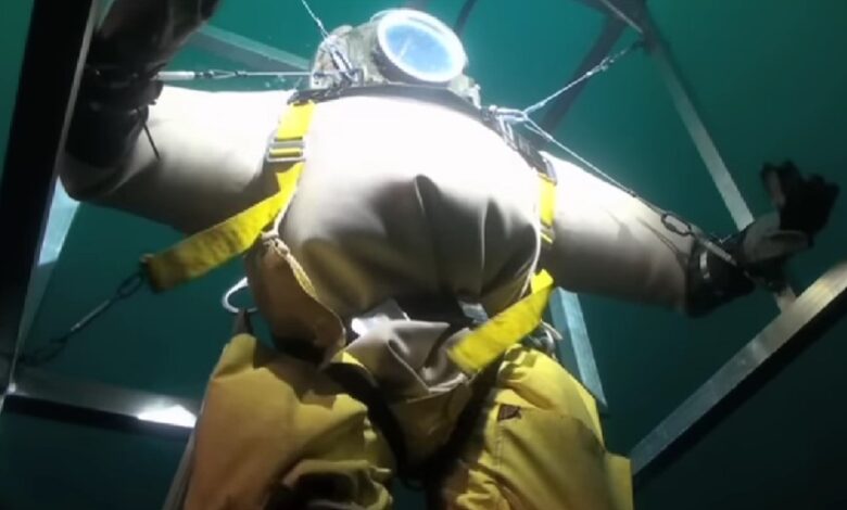 Watch MythBusters Pig in Diving Suit Video, What Happened to the Pig in the Diving Suit