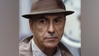 Alan Arkin Obituary Oscar-winning Actor Alan Arkin's Death Cause Revealed