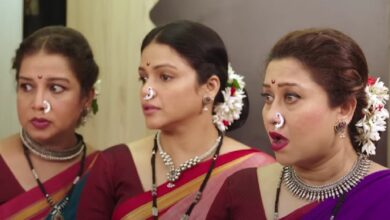 Baipan Bhari Deva Box Office Collection A Marathi Comedy-Drama Success Story