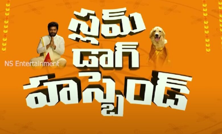 Slum Dog Husband Box Office Collection Day 1