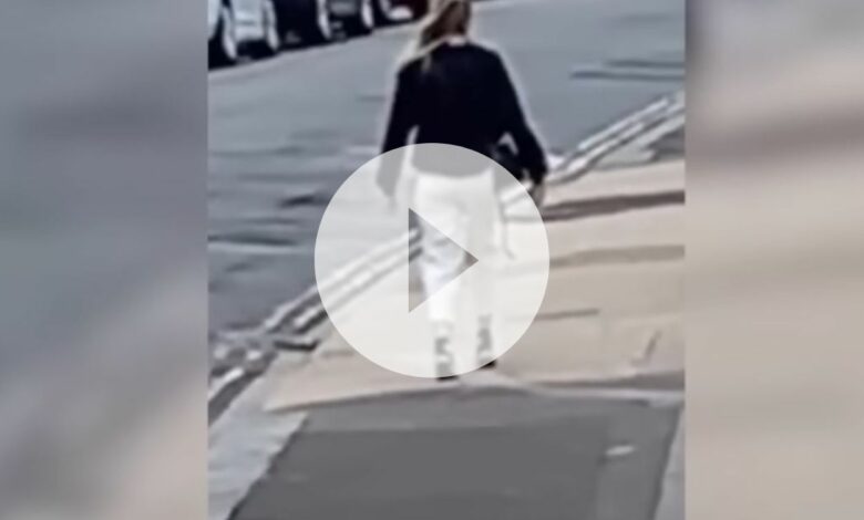 WATCH Woman Frozen in Street TikTok Video Went Viral Online