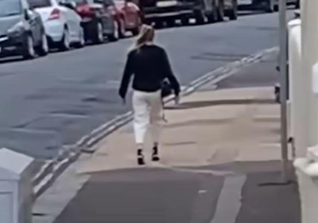 Woman Frozen in Street TikTok Video