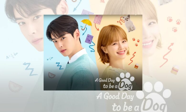 A Good Day to be a Dog EP 4 Release Date
