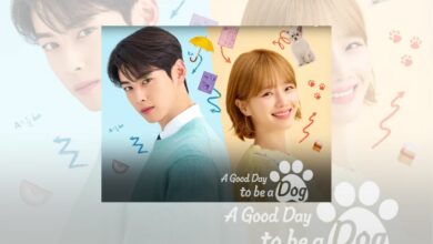 A Good Day to be a Dog Release Date Netflix News Unzip